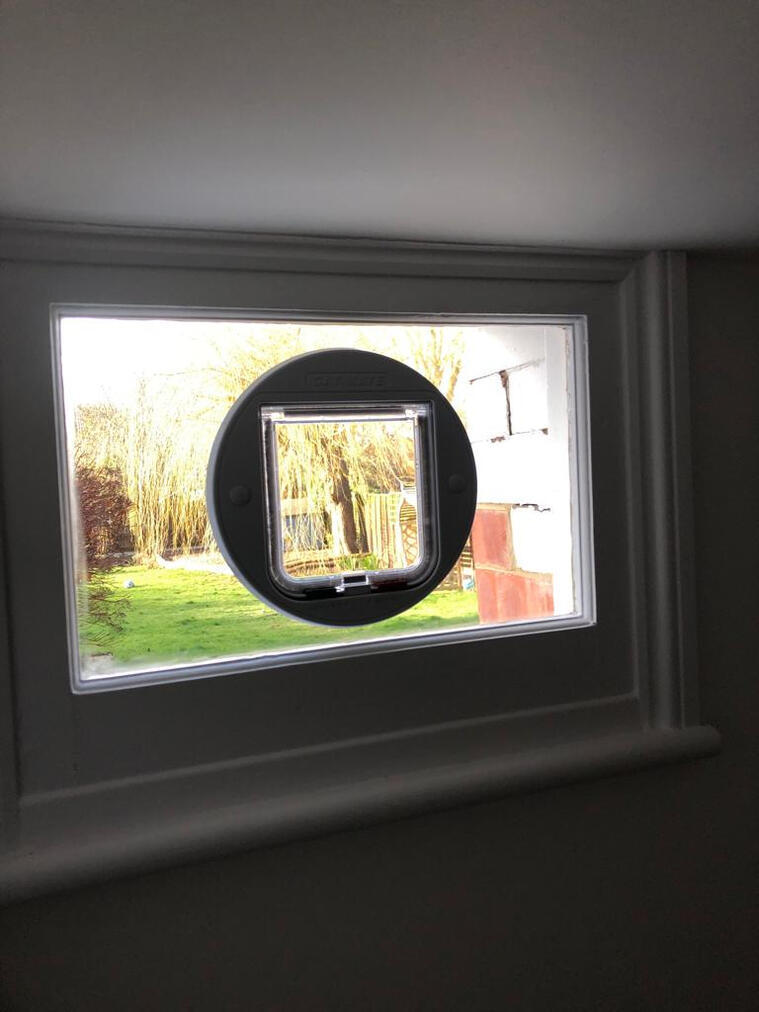 Cat Flap (Window)