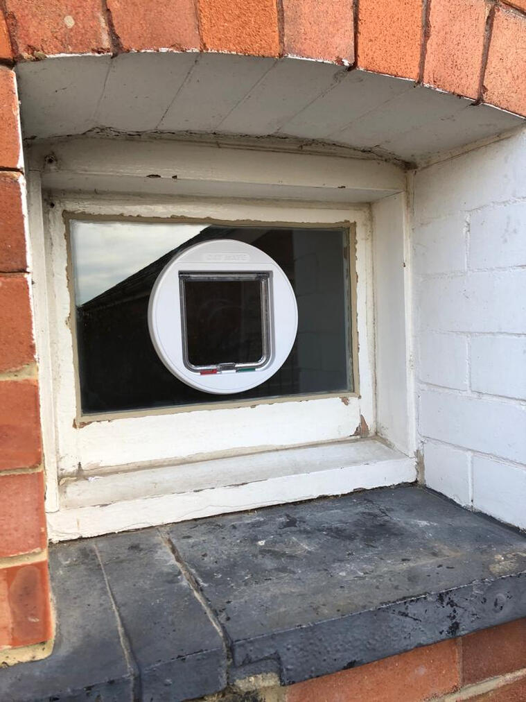 Cat Flap
