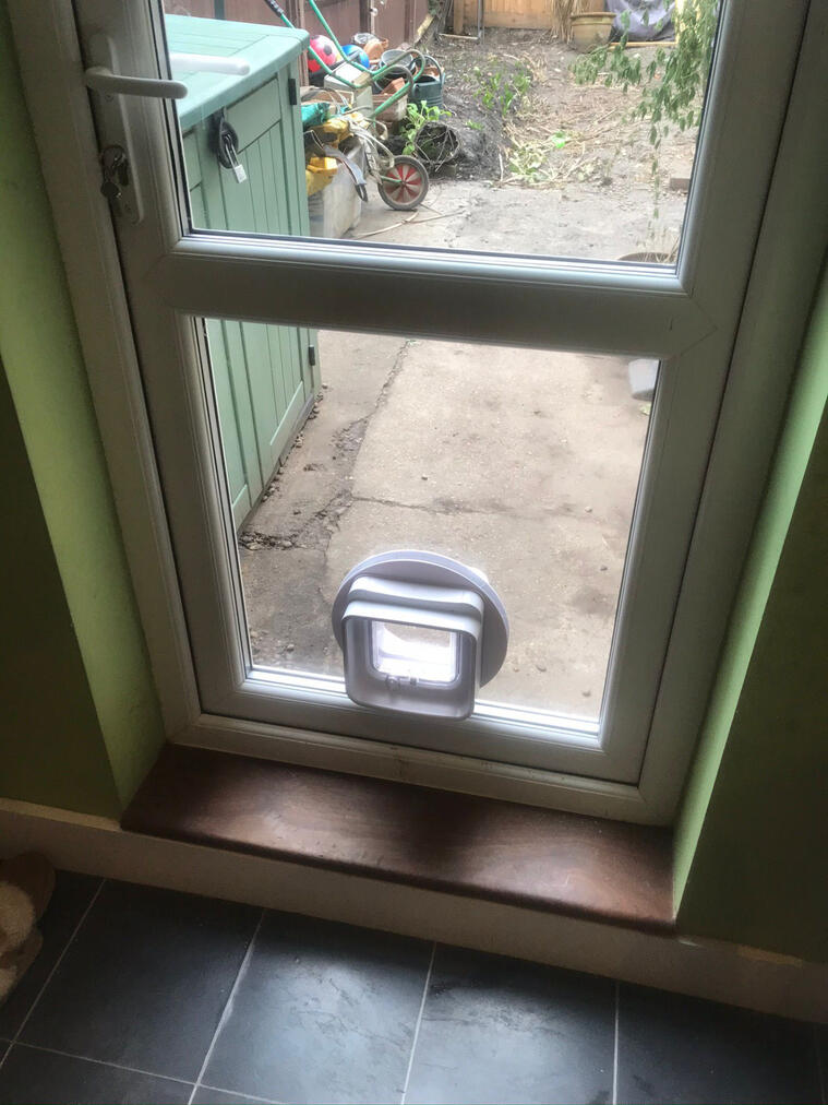 Cat Flap (Glass door)