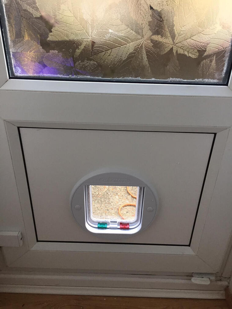 Cat Flap (UPVC door)